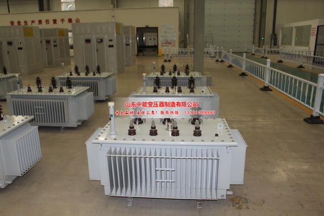 六枝特50KVA油浸式变压器